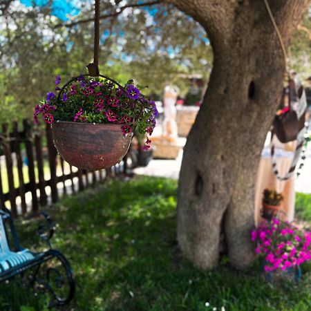 Agriturismo Le Faeta Arpino Екстериор снимка