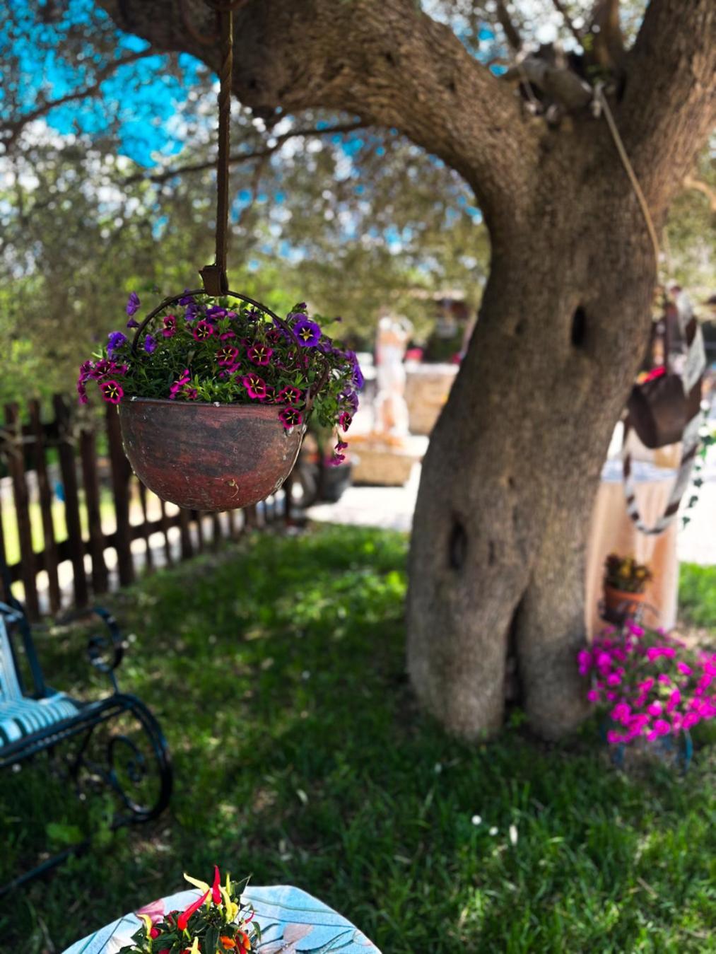 Agriturismo Le Faeta Arpino Екстериор снимка