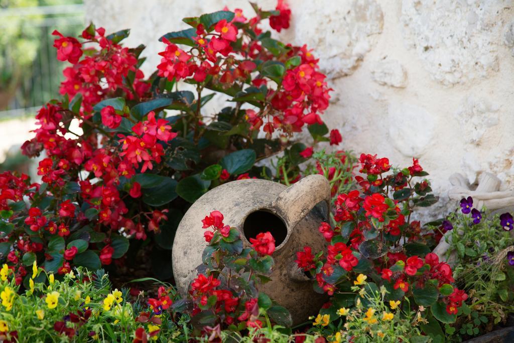 Agriturismo Le Faeta Arpino Екстериор снимка